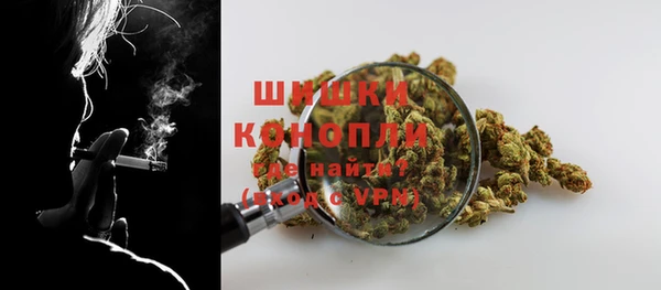 ПСИЛОЦИБИНОВЫЕ ГРИБЫ Вяземский