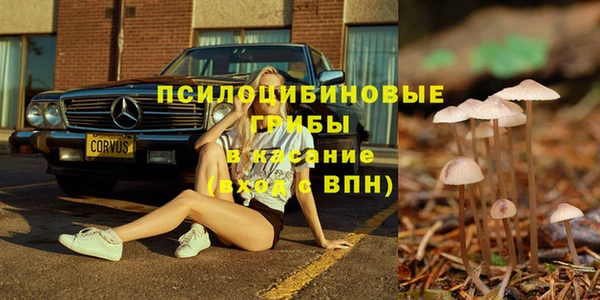 прущий лед Вязьма