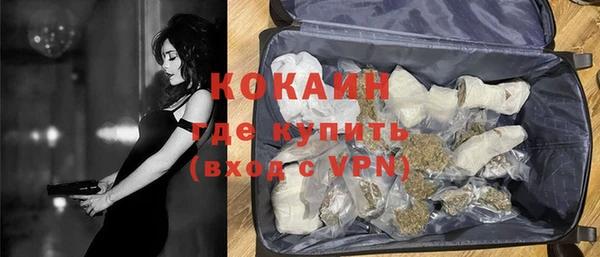 ПСИЛОЦИБИНОВЫЕ ГРИБЫ Вяземский