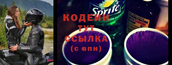 ПСИЛОЦИБИНОВЫЕ ГРИБЫ Вяземский