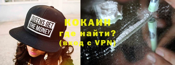ПСИЛОЦИБИНОВЫЕ ГРИБЫ Вяземский