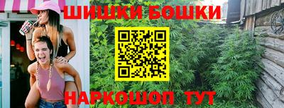 мдпв Кингисепп