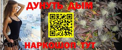 мдпв Кингисепп