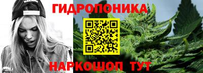 мдпв Кингисепп
