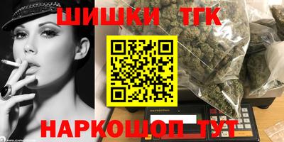 мдпв Кингисепп