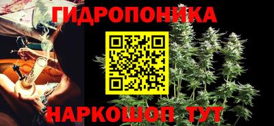 мдпв Кингисепп