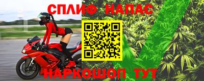 мдпв Кингисепп