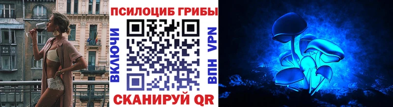 где найти наркотики  Петропавловск-Камчатский  Галлюциногенные грибы Cubensis 