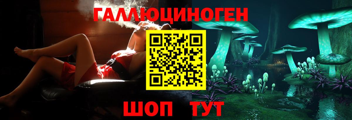 Петропавловск-Камчатский  Галлюциногенные грибы Psilocybe  Вход с VPN 